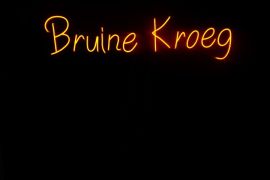 Neon verlichting br.1m20  